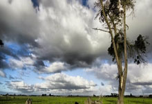 ATP1000印第安维尔斯站:布云朝克特首轮过关.