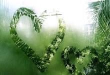 CBA常规赛今夜收官,谁能锁定前四席位?.